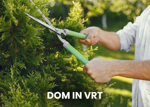 Dom in vrt