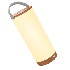 Prenosna LED svetilka TaoTronics DL23