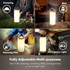 Prenosna LED svetilka TaoTronics DL23