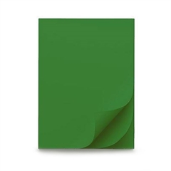 Šeleshamer papir B1, 220 g, 10 listov, gozdno zelen
