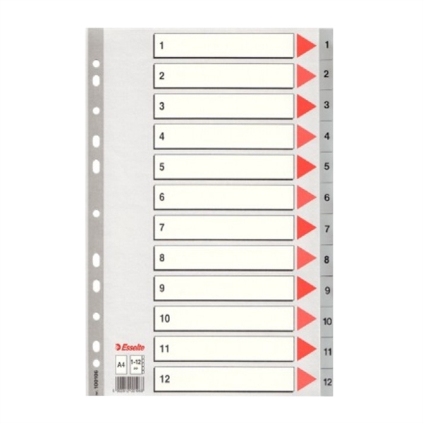 Pregradni karton 1-12 A4 PP Esselte, siv