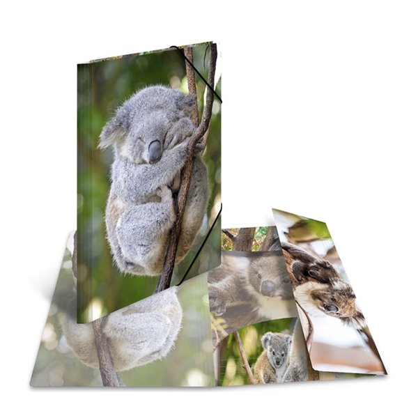 Mapa z elastiko A3 PP Herma, Glossy Koala