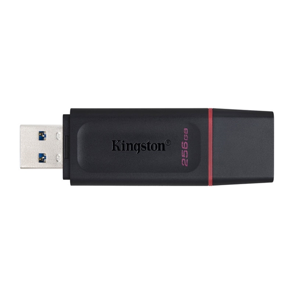USB ključ Kingston DTX Exodia, 256 GB