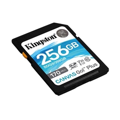 Spominska kartica Kingston Canvas GO Plus SDXC Class 10 UHS-I U3, 256 GB