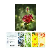 Picture for category Koledarji