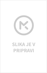 GEOLOŠKA KARTA SLOVENIJE – ŠOLSKA KARTA, geološka karta Slovenije 
