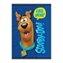 Zvezek A4 Scooby Doo, brezčrtni, 54 listov, sortirano, 1 kos