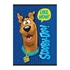 Zvezek A4 Scooby Doo, mali karo, 54 listov, sortirano, 1 kos