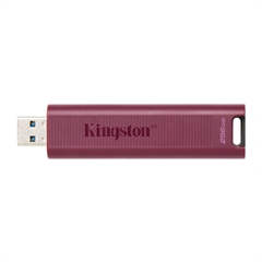 USB ključ Kingston DT Max, 256 GB