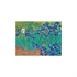Puzzle Paperblanks Van Gogh`s Irises, 1000 kosov