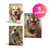 Zvezek A4 Rucksack Only, Animals Cute, mali karo 5 mm, 52 listov, sortirano, 5 kosov