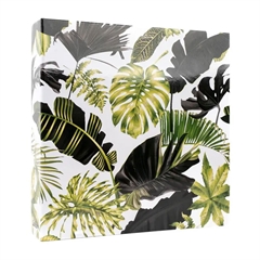 Foto album Monstera 2, 500 slik