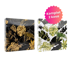 Darilni paket najlepših spominov Monstera: 2x Foto album, 500 + 500 slik