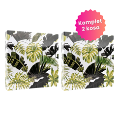 Darilni paket najlepših spominov Monstera 2: 2x Foto album, 500 + 500 slik