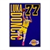 Zvezek A4, Luka Dončić, mali karo, 54 listov, sortirano