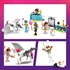 LEGO Friends: Zabava v maskah s samorogom in dobro vilo