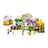 LEGO Friends: Rastlinska kavarna in cvetličarna