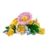 LEGO Botanical Collection: Mali sončni šopek