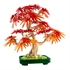 LEGO Botanical Collection: Bonsaj japonski rdeči javor