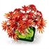 LEGO Botanical Collection: Bonsaj japonski rdeči javor