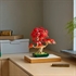 LEGO Botanical Collection: Bonsaj japonski rdeči javor