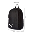 Nahrbtnik Puma teamGOAL Black