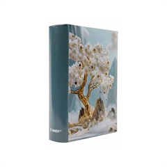 Foto album Flow 1, 300 slik