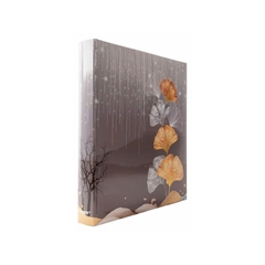 Foto album Ginko 1, 500 slik