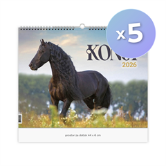 Komplet stenskih koledarjev 2026, Konji, 5 kosov