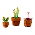 LEGO Botanical Collection: Drobne rastline