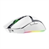 Gaming miška Razer Cobra Pro, brezžična, bela