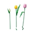 LEGO Botanical Collection: Šopek tulipanov