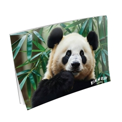 Risalni blok A3, 20 listni, Panda 2