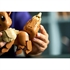 LEGO Pokémon: Eevee