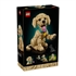 LEGO Icons: Mladiček zlatega prinašalca