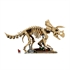 LEGO Jurassic World: Dinozavrski fosili: triceratops