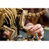 LEGO Jurassic World: Dinozavrski fosili: triceratops