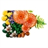 LEGO Botanical Collection: Gozdne gobe