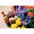 LEGO Botanical Collection: Gozdne gobe