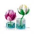 LEGO Botanical Collection: Lokvanja