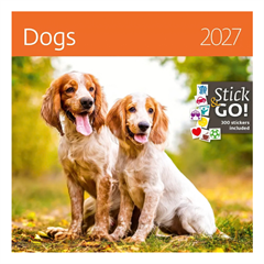 Stenski koledar 2027, Kužki, z nalepkami
