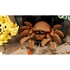 LEGO Icons: Tropski akvarij