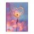 Foto album Silky 2, 200 slik