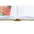 Foto album Velvet  Olive, 200 slik